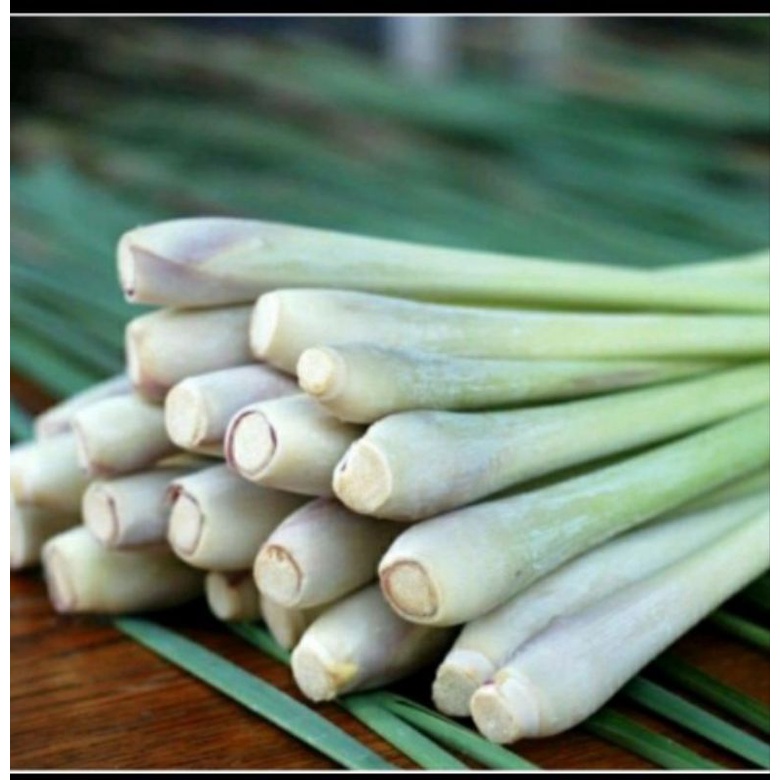 

Serai Hijau Segar 100gr