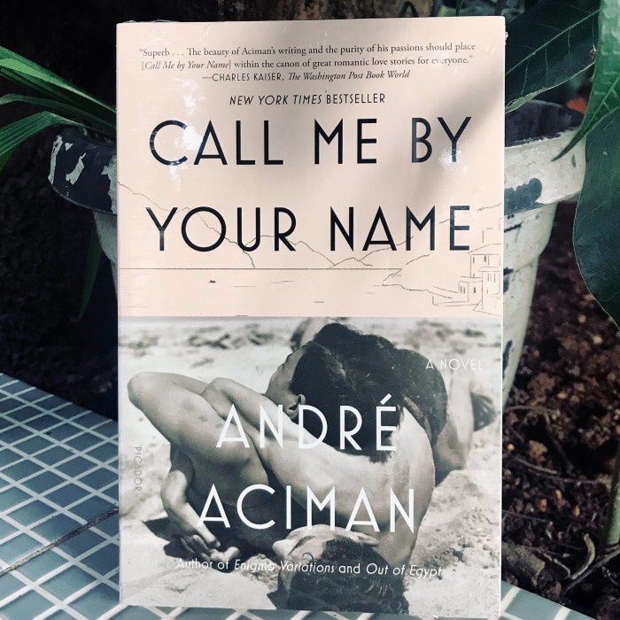 [COD] Call Me By Your Name A Classic  Critically Acclaimed Novel Terbatas