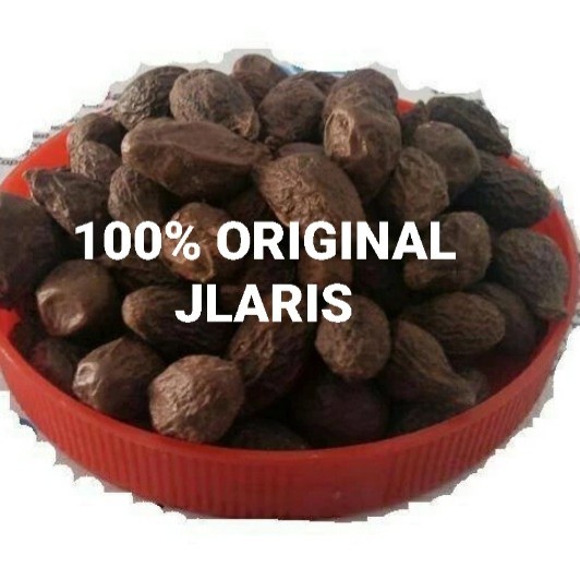 

Buah Tempayang 1kg /Tempoyan/Semangkuk /Beng Ta Hai/ Antehai/Bengkak