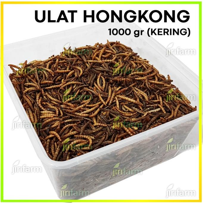 ULAT HONGKONG KERING DRIED MEALWORM 1000GR