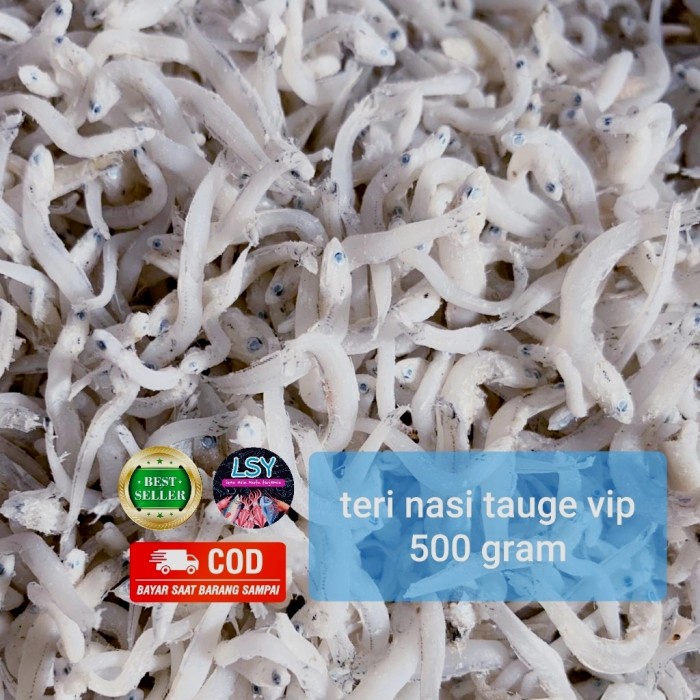 

Ikan Asin Tn Tauge Vip/ Teri Nasi Size Jumbo 500Gr