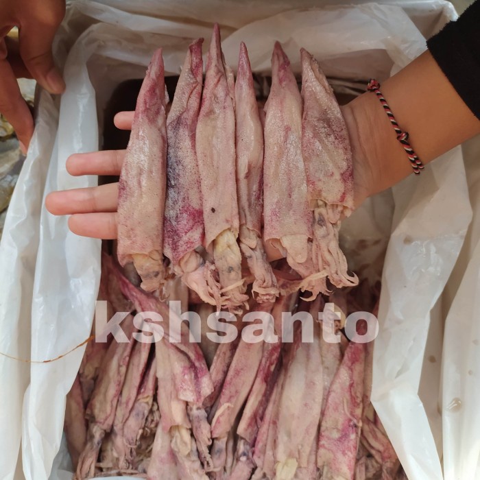 

Ikan Asin Cumi Panjang/Lontar-1Kg