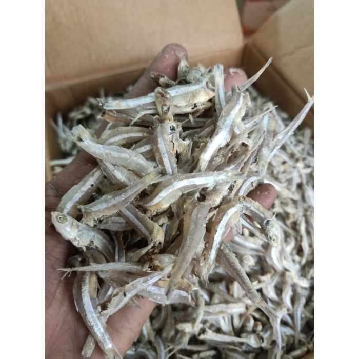 

Ikan Asin Teri Jengki Putih Murah-1Kg Khr