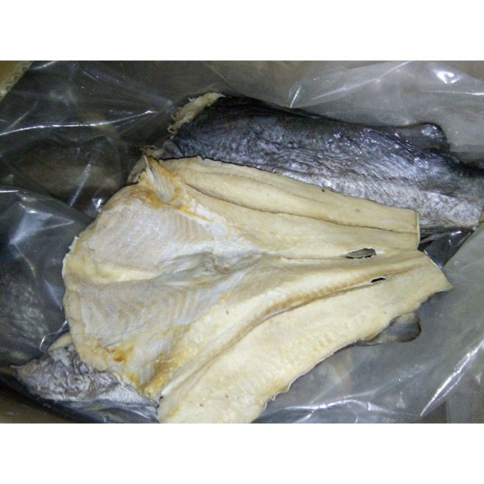 

Ikan Asin Jambal Roti Mayung Terenak Kualitas Super Di Tangerang