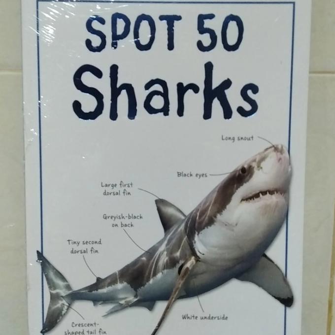 

Diskon !!! Desember Murah Spot 50 Sharks - Langsung Kirim