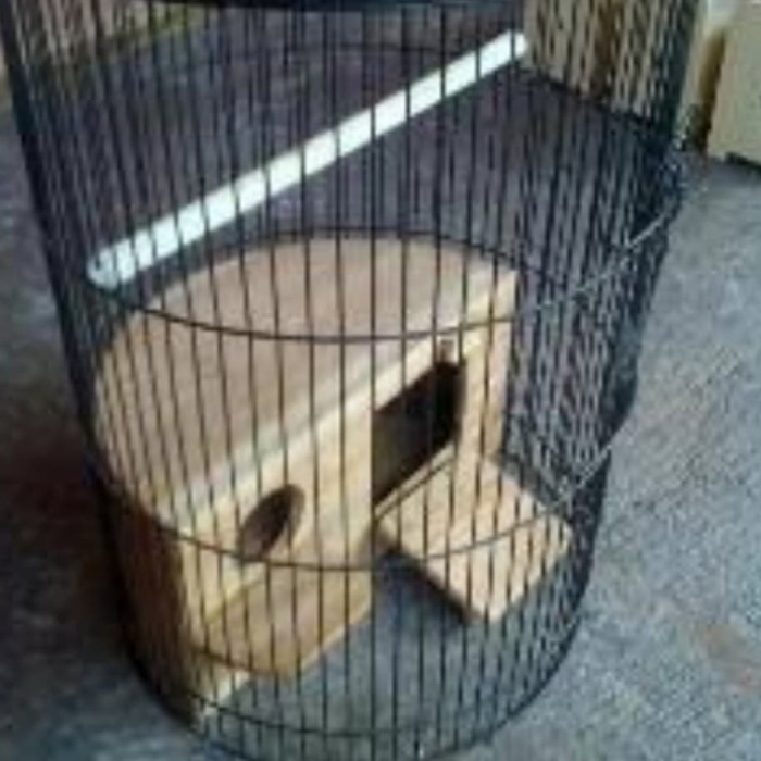 Glodok ternak lovebird - glodokan oval sangkar lovebird - glodok kayu