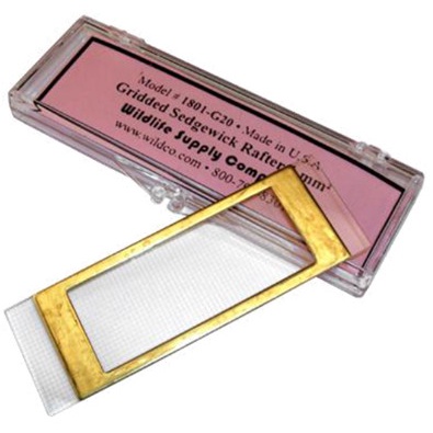 ✅Original Sedgewick Rafter Lokal Terbatas