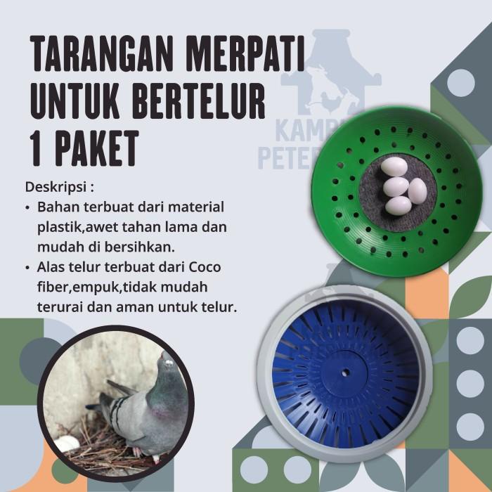 Tarangan Burung Merpati Sarang Burung Tempat Bertelur Merpati