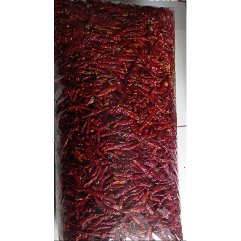 

(1Kg) Cabe Teja /Rawit /Caplak Alitas Pedas Tanpa Tangkai