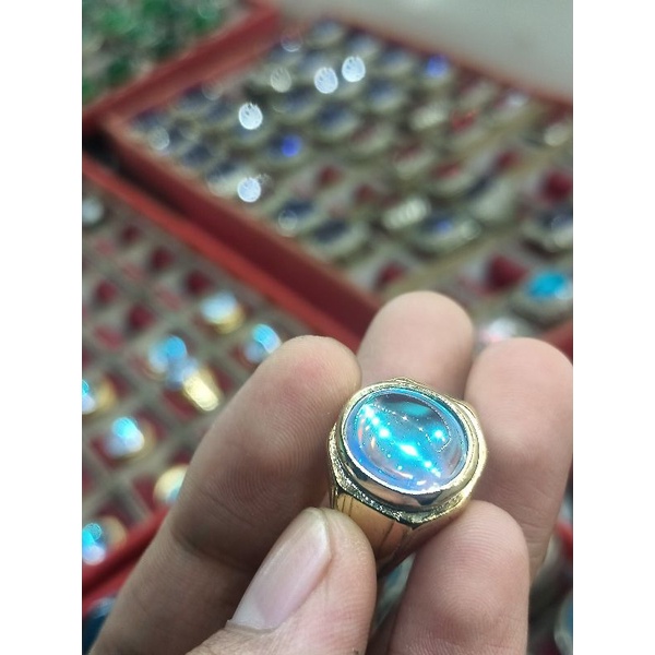 Kalimaya India