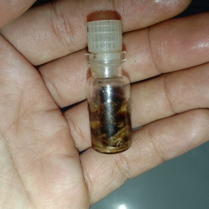 [Baru] Minyak Untalan Raja Dewa  Penariik Lwn Jenis  Pembka Biiyrahii Terbaru