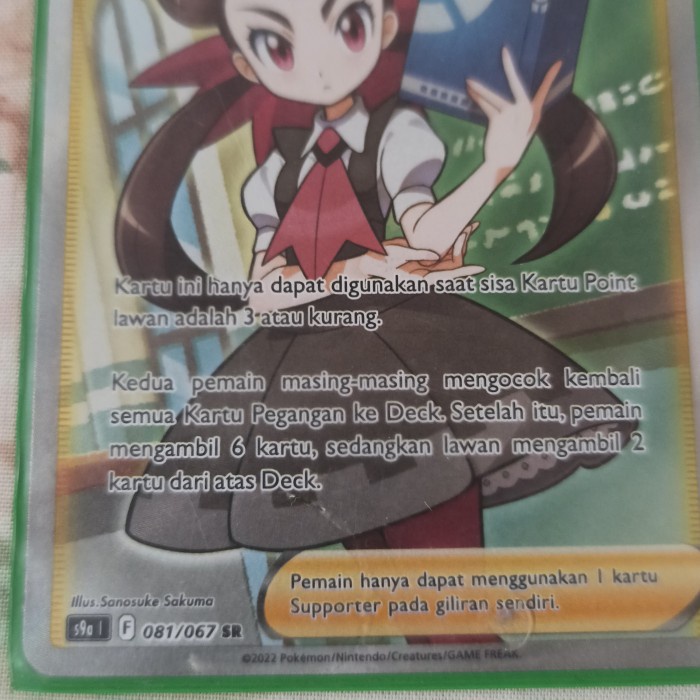 ✅COD Roxanne Sr Pokemon Indonesia Berkualitas