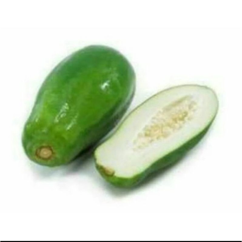 

Buah pepaya muda Pepaya Sayur Obat Herbal Segar