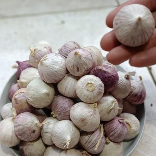 

Bawang Putih Tunggal / Lanang Import 1 Kg kilogram Dijamin Fresh!!!