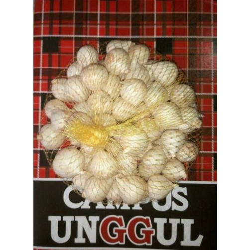 

Bawang Putih Tunggal / Bawang Lanang -Bawang Kesehatan Herbal 500gr