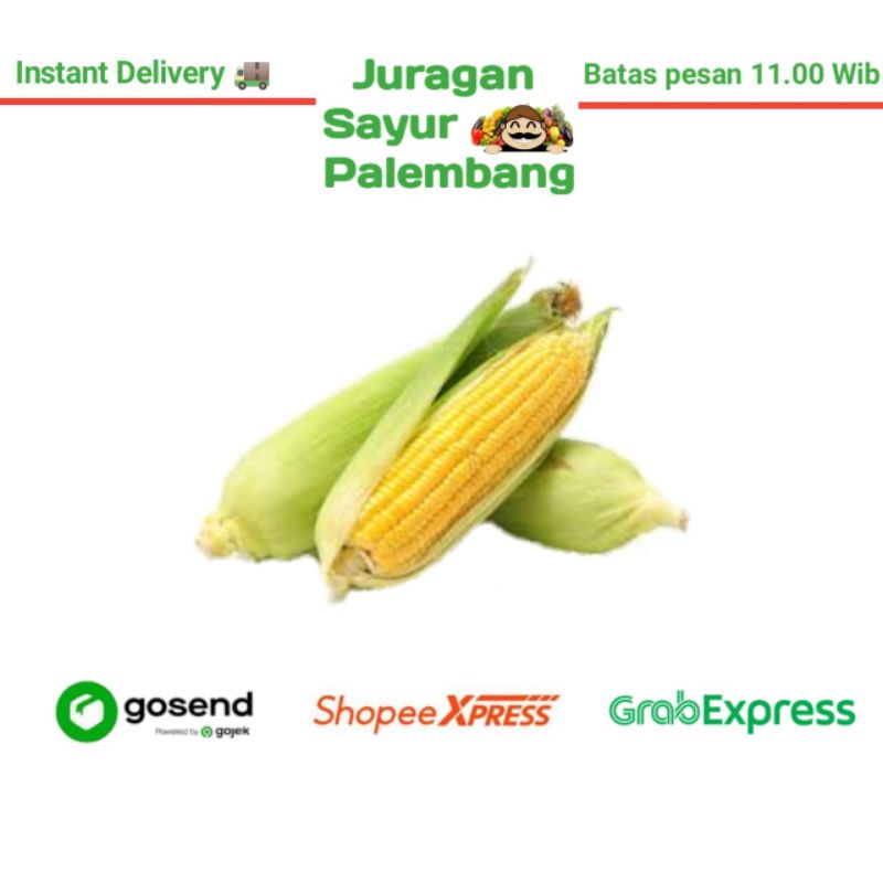 

Jagung - Juragan Sayur Palembang