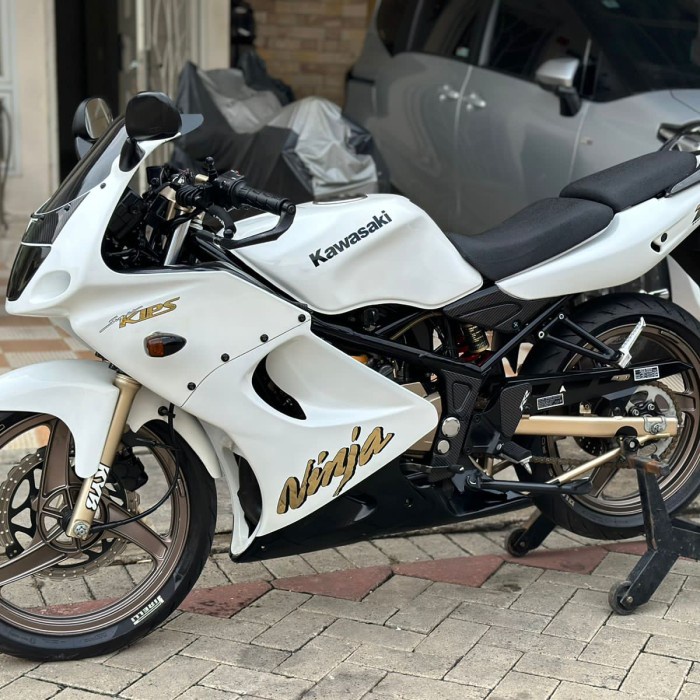 ✨Sale Kawasaki Ninja Rr Old 2009 Putih Albino Pajak Hidup Terbatas