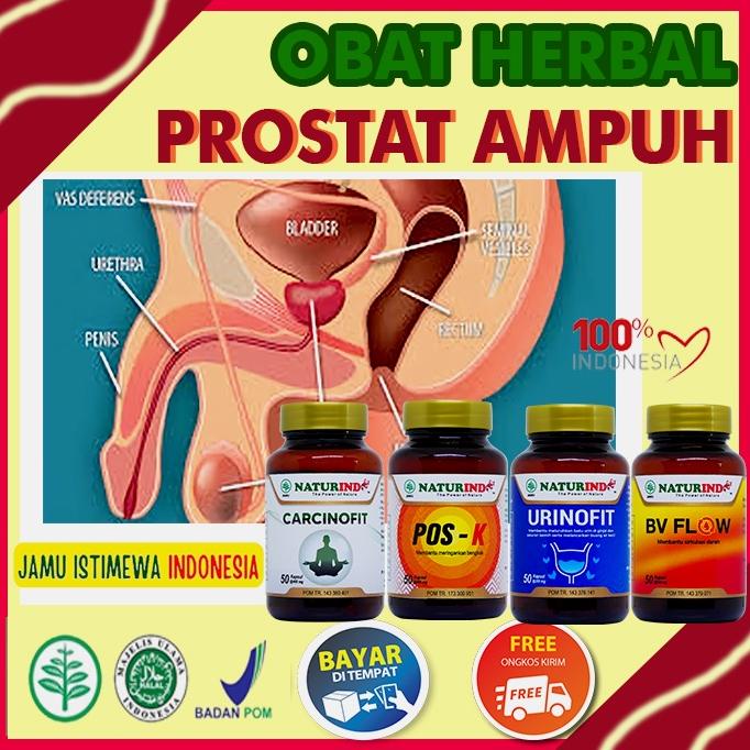 New Obat Prostat Paling Ampuh Obat Prostat Ampuh Obat Prostat Herbal Obat Prostat Cina Obat Prostat 