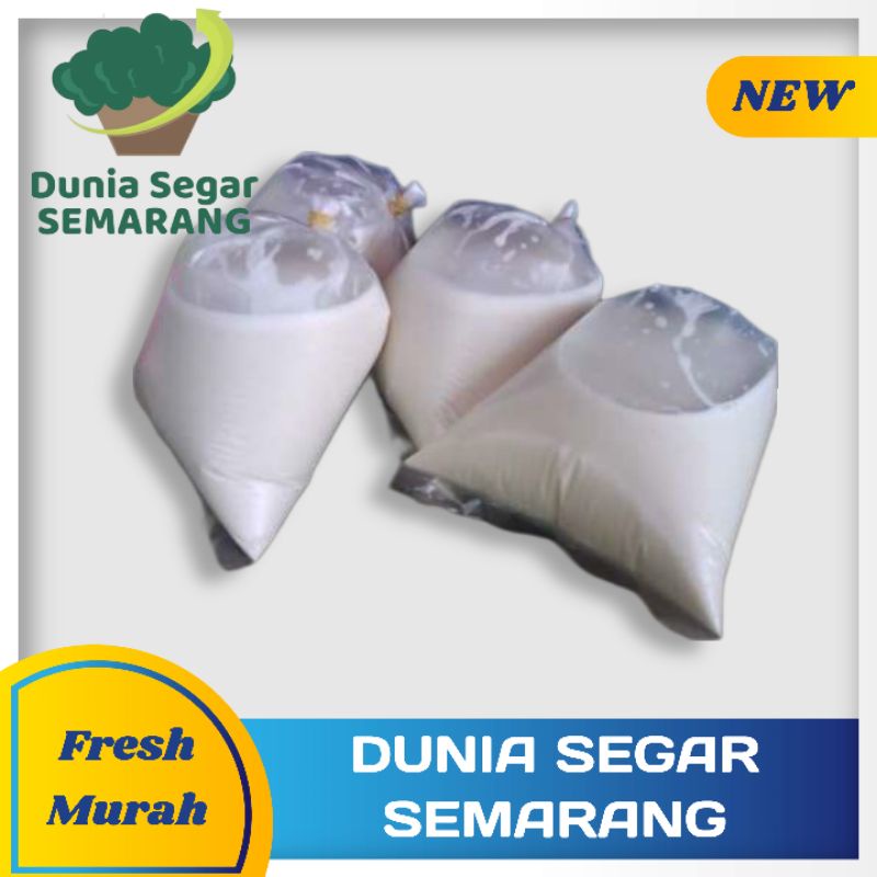 

Air Santan Fresh dari 1 Butir Kelapa