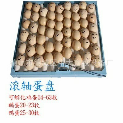 Egg Tray Rak Mesin Tetas Telur Dg Dinamo Otomatis Rak Penetas Otomatis