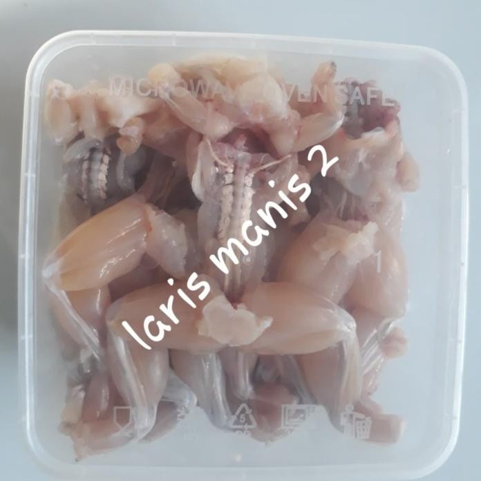 

New Kodok Sawah/Katak Sawah/Daging Kodok Size Jumbo Murah -ls01