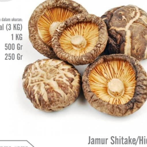 

Hioko/Hiuko/Jamur Shitake Mushroom 1 Kg