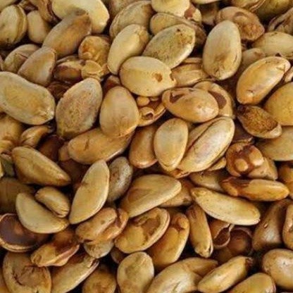

' Kacang Kedaung Kacang Biji Kedawung Jumbo Goreng Siap Makan Enak