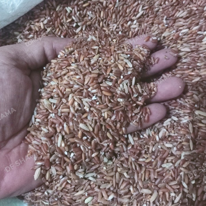 

Merah 1 Kg Pakan Ayam Merpati Makanan Ayam Makanan Merpati