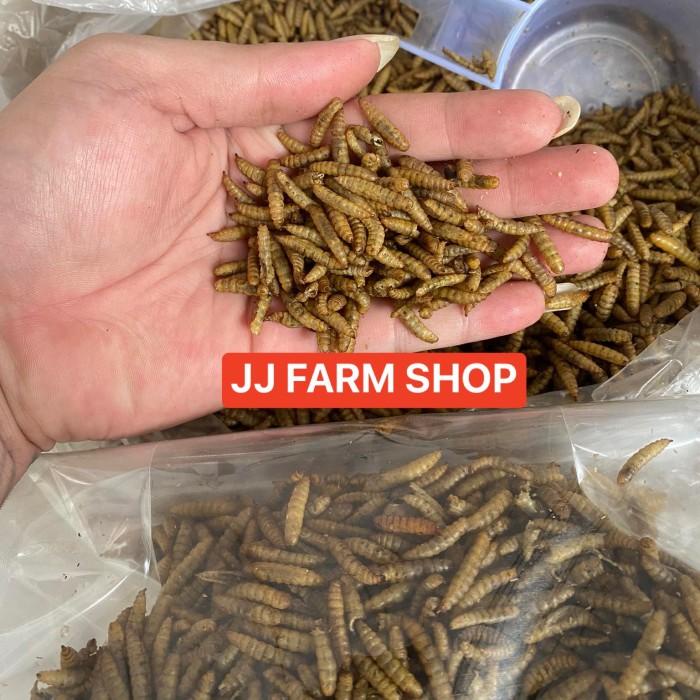 BEARING MOTOR HIGH SPEED HONDA NSR FAG 6305 TBP6C3 / 6305 TB-P6-C3