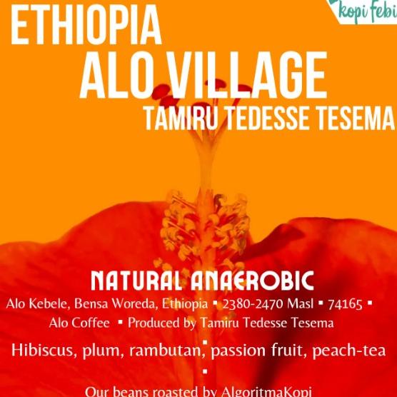 

Sale Ethiopia Alo Village | Vacuum Series | Kopi Febi