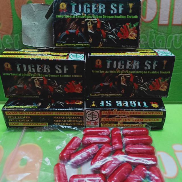 tiger sf 20capsul jamu kamlang ayam tarung doping herbal tenaga