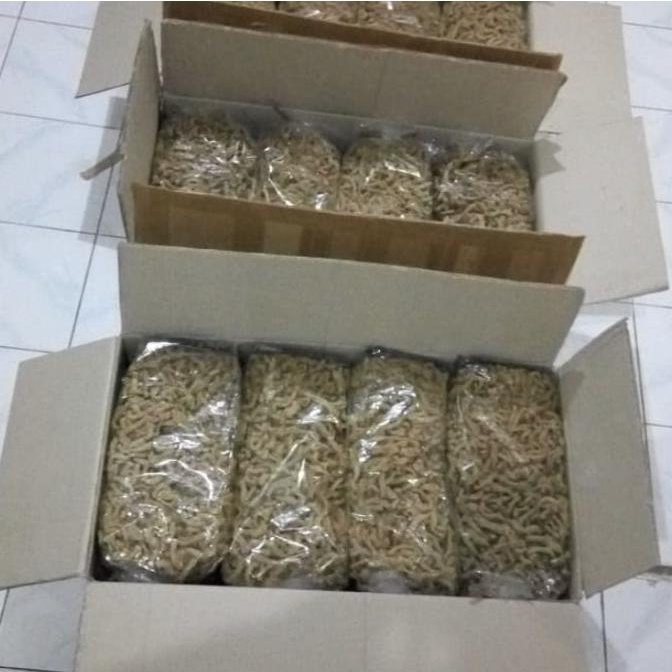 

NEW PRODUK PAKET AGEN / RESELLER KRIPIK USUS TERLARIS 10 KG !!!!!