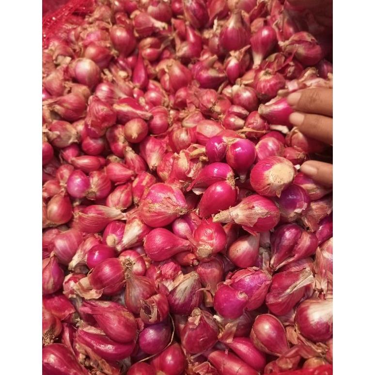 

Ready Bawang merah Brebes 500 gr