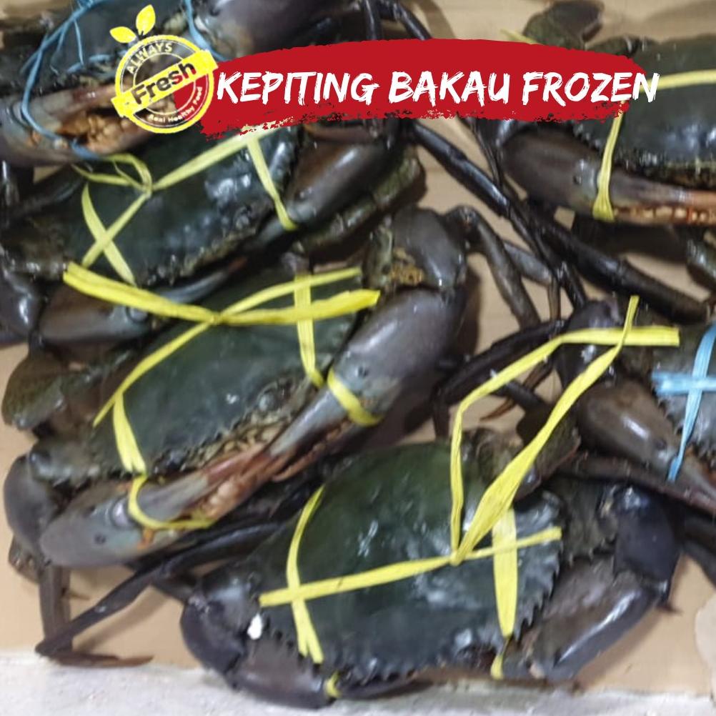 

Ready Kepiting Bakau Frozen Fresh Premium (isi 2-4 ekor) 1 Kg