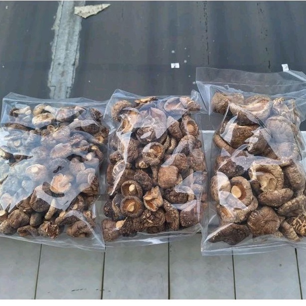 

Jamur Shiitake - Hiokou Mentah IKPS 500 gr ukran D 3-4-5-6-8 cm