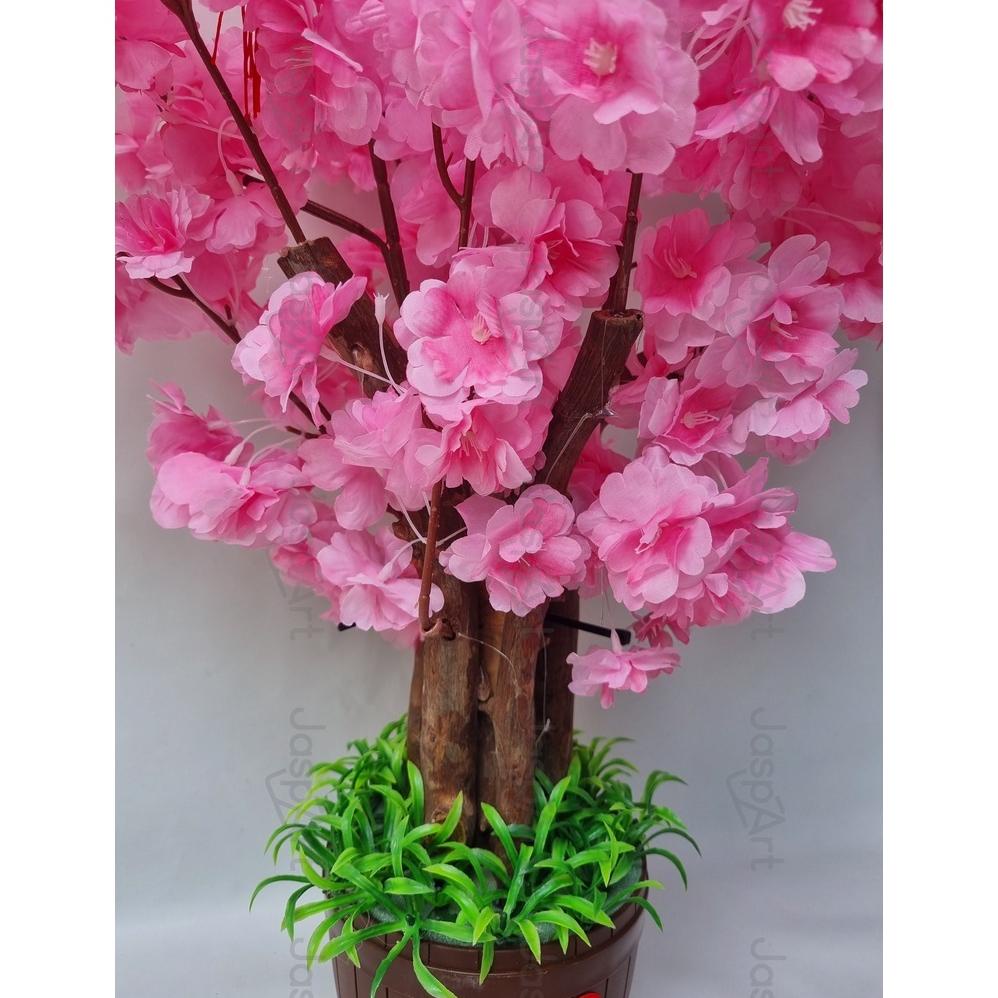 [PH] POHON SAKURA JEPANG MEI HWA SIZE BESAR POHON SAKURA MEI HUA PREMIUM 1 METER POHON IMLEK BUNGA I