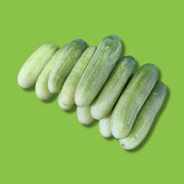 

Ready Timun Lalap Segar 500 gram