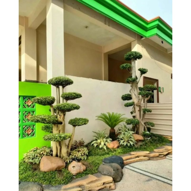 jasa pembuatan taman kering