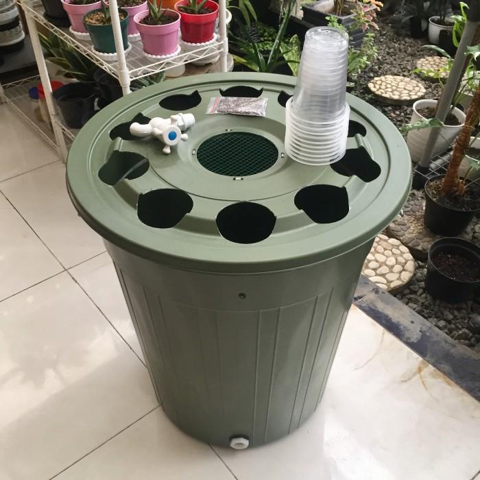 Paket BUDIKDAMBER Budidaya Ikan Lele dan Sayuran Kangkung dalam Ember Berkualitas