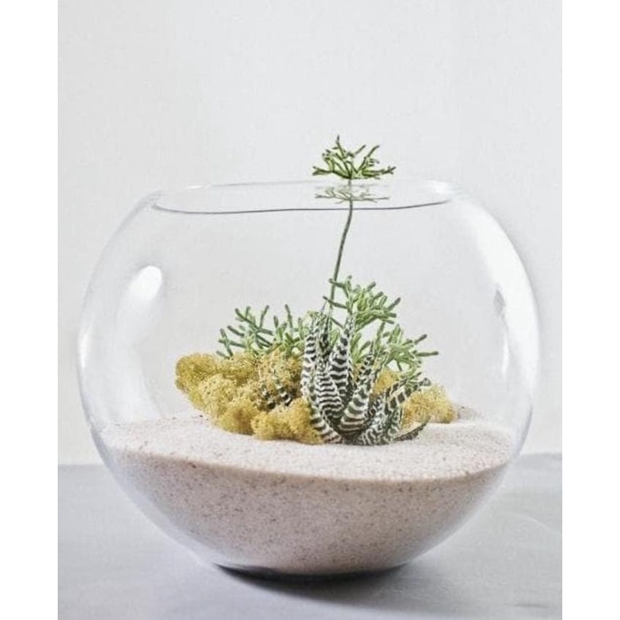 Terrarium dekorasi lilin vas pot bunga aquarium lucu bulat kaca bening
