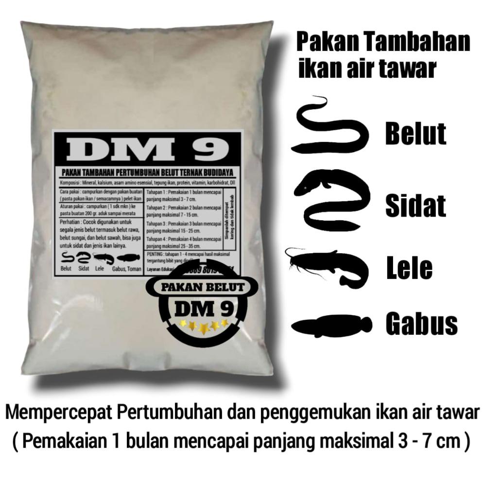 New Pakan Belut ternak DM 9 1 kg