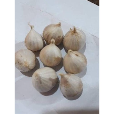 

Bawang Tunggal/ Bawang Lanang 500 gr