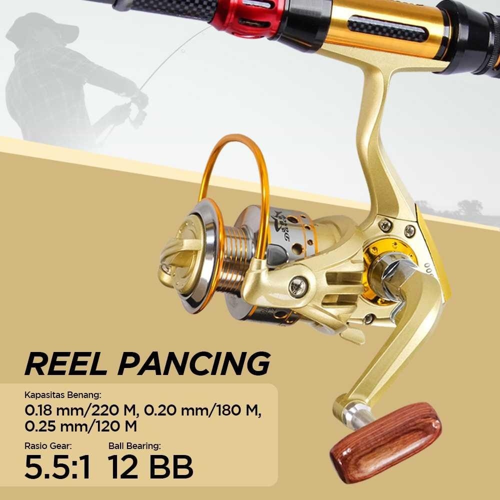 DARCY JX2000 Reel Pancing Spinning 12 Ball Bearing 5.5:1