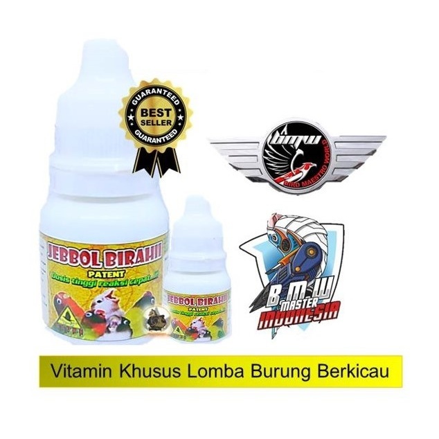 Bmw Jebol Birahi Lovebird, Murai, Vitamin Burung