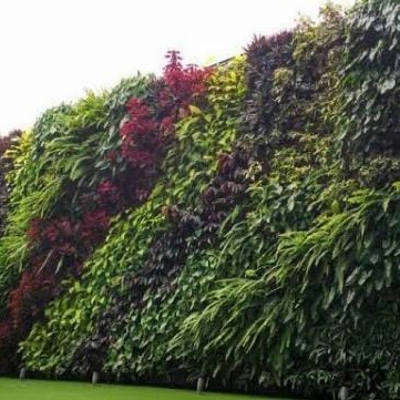 [New] Vertikal Garden-Taman Vertikal-Taman Dinding-Taman Tembok-Tukang Taman Terbatas