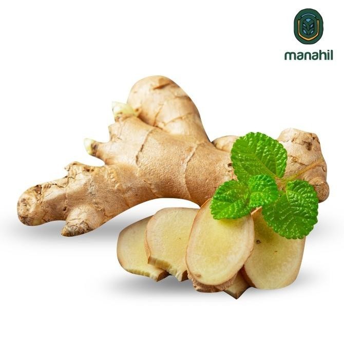 

Termurah jahe alami mprit/gajah sortir rempah & rimpang kualitas baik 1kg