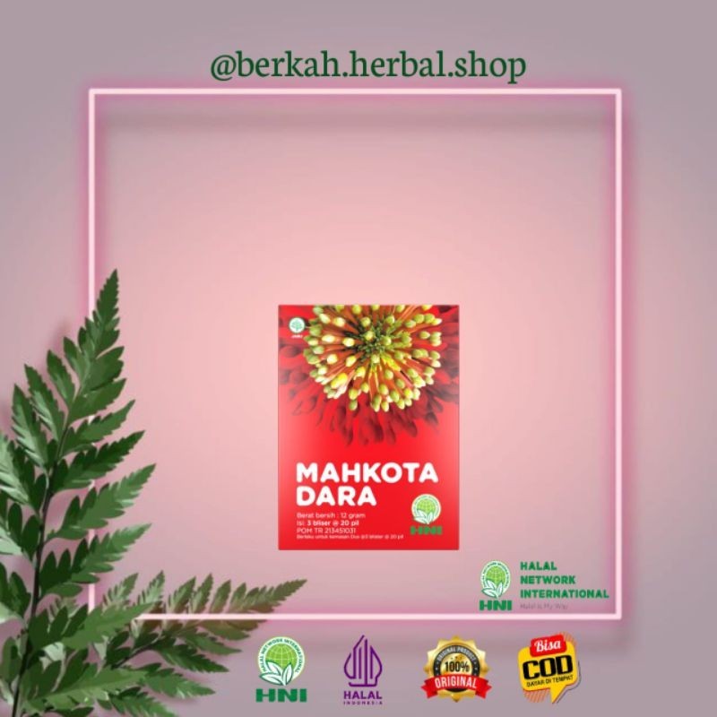 Mahkota Dara HNI HPAI || Mustika Dara