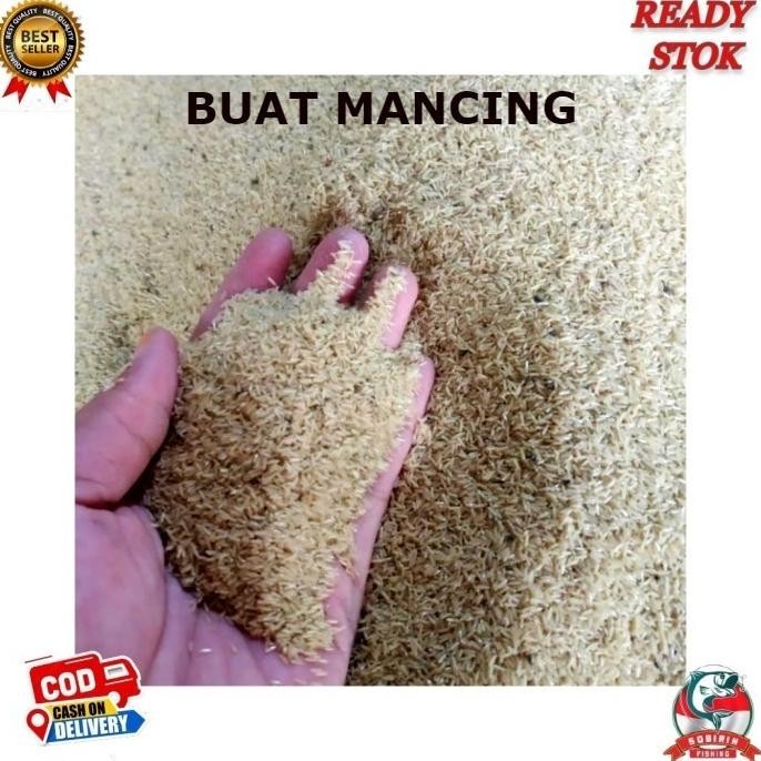 Telor Jangkrik Super - Telor Jangkrik Alam