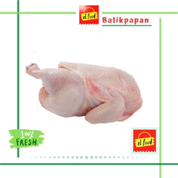 

AYAM BROILER SEGAR ±0,7Kg Setengah Ekor /ELFOOD/Ayam Pedaging/Ayam potong Setengah ekor Utuh