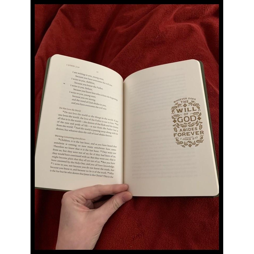 

terbaru !!! esv scripture journal: new testament, buku jurnal rohani ready